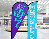 drapeau-pubinlyon drapeaux, banner, pubinlyon