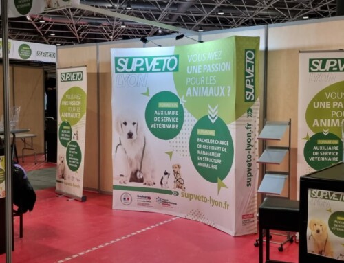 Aménagement de stand à Eurexpo pour le Salon de l’étudiant de Lyon