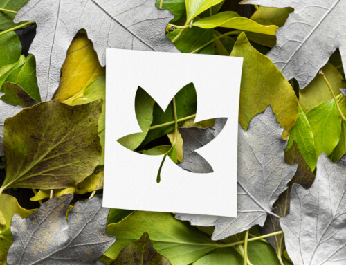 Encres végétales & papiers recyclés : vers une impression plus responsable ?